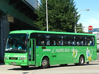 PJ-MS86JP (oX)