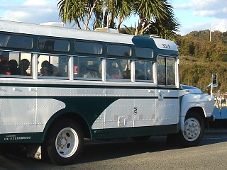 BXD30 (tK[V)