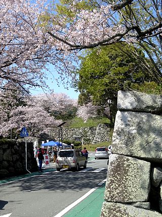 ʏ钬(ʏ钬) 
