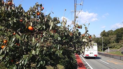 @䎛(ɐs) 