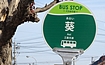 (鎭s)