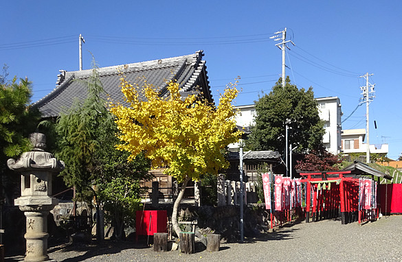 KZ(Ks) 