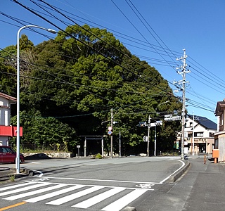 镔wZO(us) 