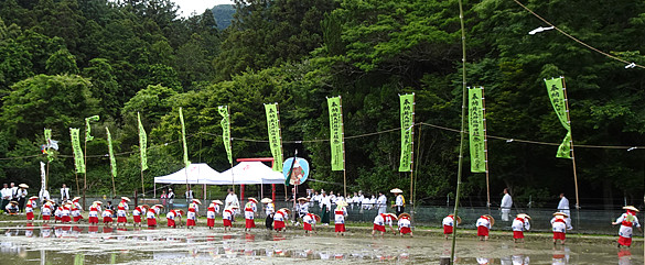 ��v�ۓ�(�鎭�s) ����