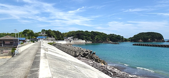 ���V�c(�u���s) ����