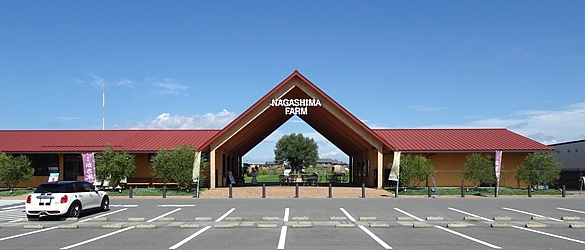 �i�K�V�}�t�@�[���O(�K���s) ����