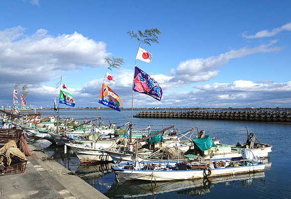 �_���БO(�K���s) ����