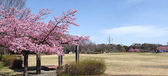 ���̗�(���É��s) ����