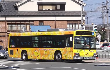 QPG-LV234N3 (dCoX)