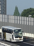 oX